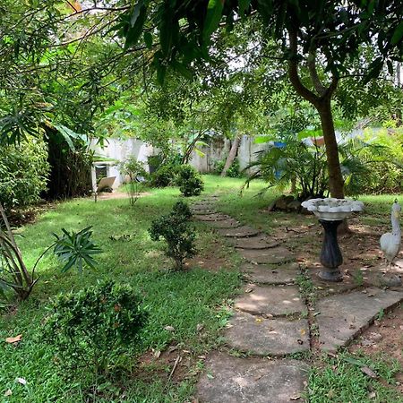 Dream Villa Mirissa Dış mekan fotoğraf