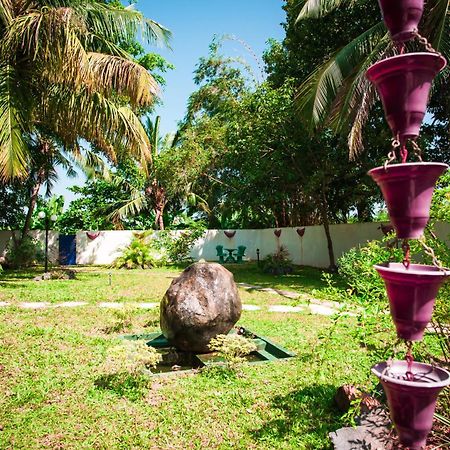 Dream Villa Mirissa Dış mekan fotoğraf