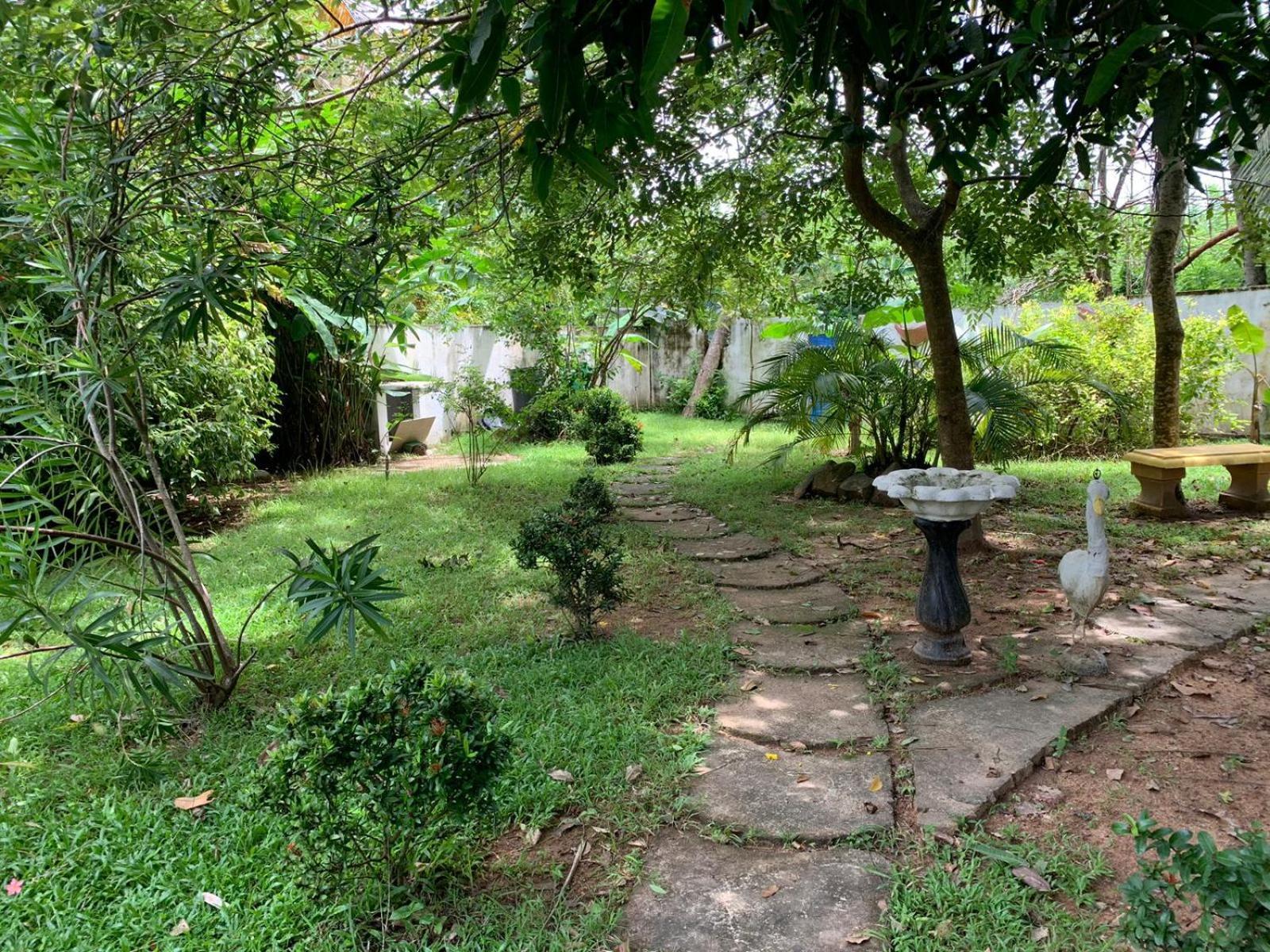 Dream Villa Mirissa Dış mekan fotoğraf